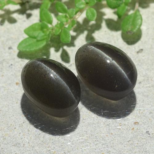 Cat's eye scapolite naturale nero da 6,12 ct, taglio ovale, traslucido