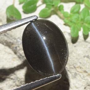 Cat's eye scapolite naturale nero da 2,56 ct, taglio ovale, traslucido