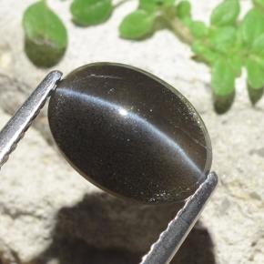 Cat's eye scapolite naturale nero da 2,56 ct, taglio ovale, traslucido