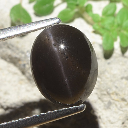 Scapolite occhio di gatto Nero naturale da 3.42 ct, Taglio ovale, Traslucido