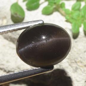 Scapolite occhio di gatto Nero naturale da 3.42 ct, Taglio ovale, Traslucido