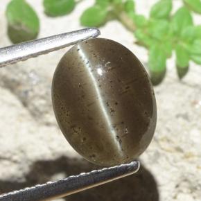 Scapolite occhio di gatto Marrone medio naturale da 2.60 ct, Taglio ovale, Traslucido
