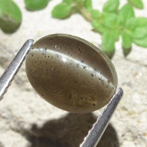 Scapolite occhio di gatto Marrone medio naturale da 2.60 ct, Taglio ovale, Traslucido