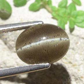 Scapolite occhio di gatto Marrone medio naturale da 2.60 ct, Taglio ovale, Traslucido