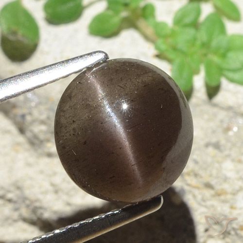 3.45ct Naturale ombra marrone Scapolite occhio di gatto, Rotondo, Traslucido