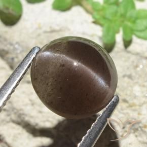 Scapolite occhio di gatto ombra marrone naturale da 3.45 ct, Rotondo, Traslucido