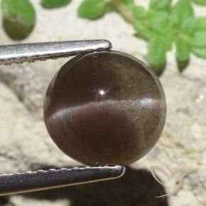 Scapolite occhio di gatto ombra marrone naturale da 3.45 ct, Rotondo, Traslucido