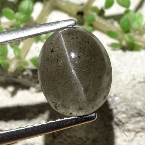 3.81ct Naturale Grigio scuro Scapolite effetto occhio di gatto, Ovale, Traslucido