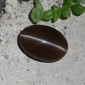 Scapolite occhio di gatto Marrone naturale da 2.03 ct, Taglio ovale, Traslucido