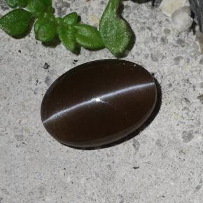 Scapolite occhio di gatto Marrone naturale da 2.03 ct, Taglio ovale, Traslucido