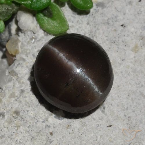 2.10ct Naturale Marrone cioccolato Scapolite occhio di gatto, Rotondo, Traslucido