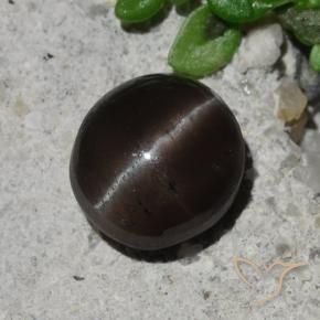 Scapolite occhio di gatto Marrone cioccolato naturale da 2.10 ct, Rotondo, Traslucido