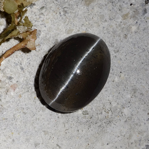 Scapolite occhio di gatto Nero naturale da 2.30 ct, Taglio ovale, Traslucido