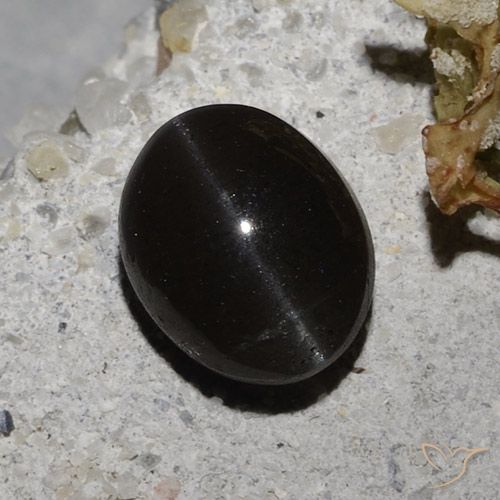2.35ct Naturale Nero Scapolite effetto occhio di gatto, Ovale, Traslucido
