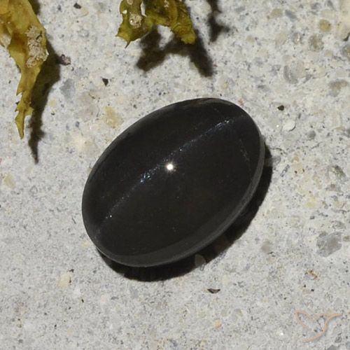 1.48ct Naturale Nero Scapolite effetto occhio di gatto, Ovale, Traslucido