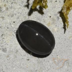 Scapolite occhio di gatto Nero naturale da 1.48 ct, Ovale, Traslucido