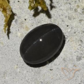 Scapolite occhio di gatto Nero naturale da 1.48 ct, Ovale, Traslucido