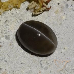 Scapolite occhio di gatto Nero caldo naturale da 1.35 ct, Taglio ovale, Traslucido
