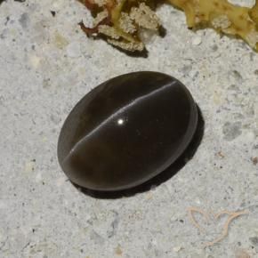 Scapolite occhio di gatto Nero caldo naturale da 1.35 ct, Taglio ovale, Traslucido