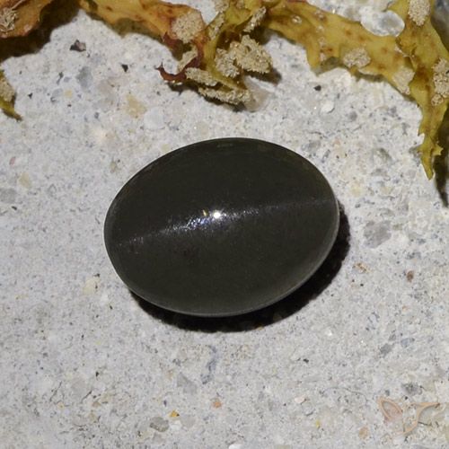 2.09ct Naturale Nero grigiastro scuro Scapolite effetto occhio di gatto, Ovale, Traslucido
