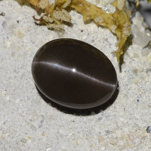 2.96ct Naturale Marrone Scapolite effetto occhio di gatto, Ovale, Traslucido