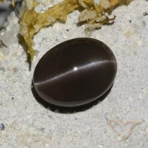 Scapolite occhio di gatto Marrone naturale da 2.96 ct, Ovale, Traslucido
