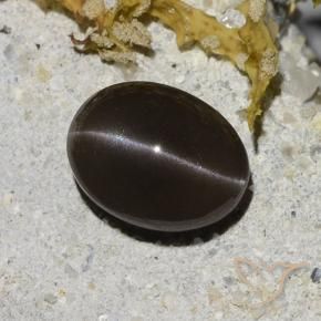 Scapolite occhio di gatto Marrone naturale da 2.96 ct, Ovale, Traslucido