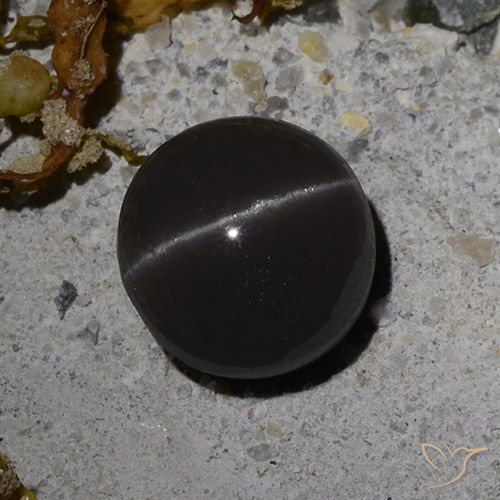3.08ct Naturale Nero Scapolite occhio di gatto, Rotondo, Traslucido
