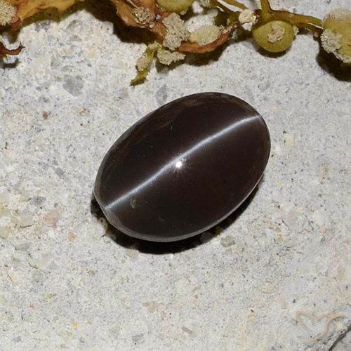 1.81ct Naturale Marrone scuro Scapolite effetto occhio di gatto, Ovale, Traslucido