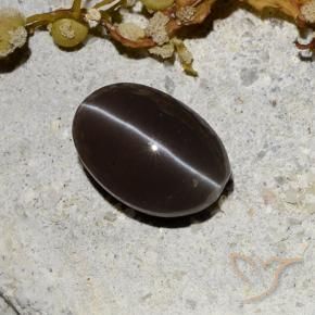 Scapolite occhio di gatto Marrone scuro naturale da 1.81 ct, Ovale, Traslucido