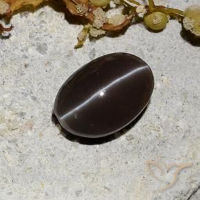 Scapolite occhio di gatto Marrone scuro naturale da 1.81 ct, Ovale, Traslucido