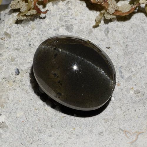 3.32ct Naturale Nero Scapolite effetto occhio di gatto, Ovale, Traslucido