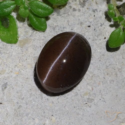1.23ct Naturale Marrone cioccolato Scapolite effetto occhio di gatto, Ovale, Traslucido