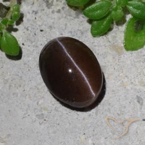 Scapolite occhio di gatto Marrone cioccolato naturale da 1.23 ct, Ovale, Traslucido
