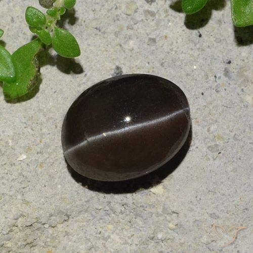 2.43ct Naturale Marrone cioccolato Scapolite effetto occhio di gatto, Ovale, Traslucido