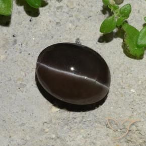 Scapolite occhio di gatto Marrone cioccolato naturale da 2.43 ct, Ovale, Traslucido