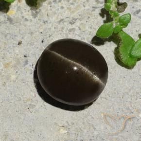 Scapolite occhio di gatto Marrone nerastro naturale da 2.64 ct, Ovale, Traslucido