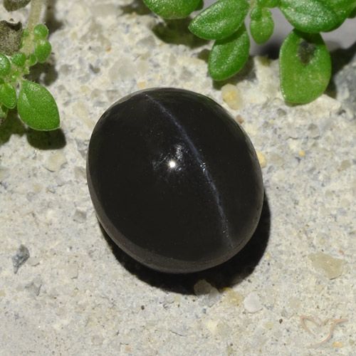 2.94ct Naturale Nero Scapolite effetto occhio di gatto, Ovale, Traslucido