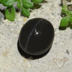 Scapolite occhio di gatto Nero naturale da 2.94 ct, Ovale, Traslucido