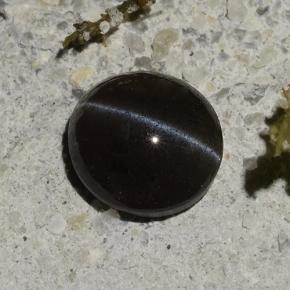 Cat's eye scapolite naturale nero da 1,14 ct, taglio ovale, traslucido