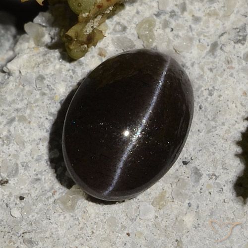 Cat's eye scapolite naturale nero da 1,47 ct, taglio ovale, traslucido