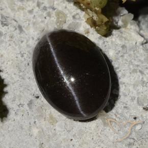 Cat's eye scapolite naturale nero da 1,47 ct, taglio ovale, traslucido