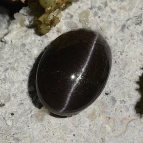 Cat's eye scapolite naturale nero da 1,47 ct, taglio ovale, traslucido