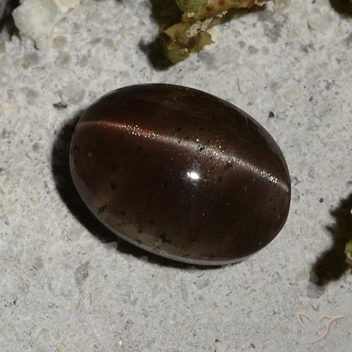 Cat's eye scapolite naturale marrone da 2,44 ct, taglio ovale, traslucido