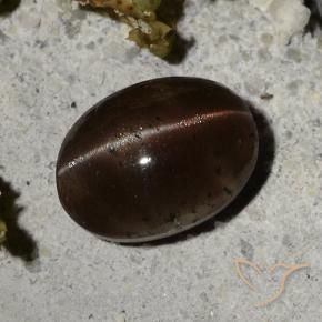 Cat's eye scapolite naturale marrone da 2,44 ct, taglio ovale, traslucido