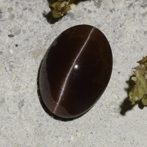 Cat's eye scapolite naturale marrone da 2,16 ct, taglio ovale, traslucido