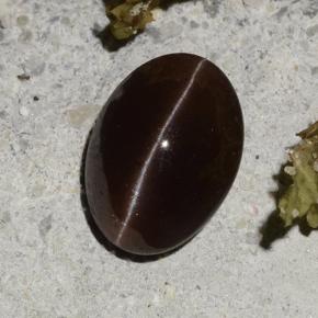 Cat's eye scapolite naturale marrone da 2,16 ct, taglio ovale, traslucido
