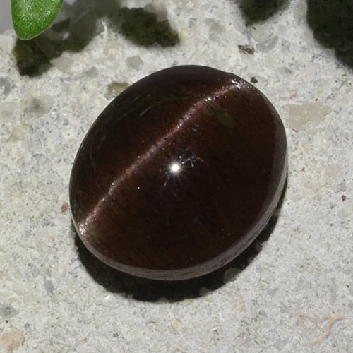 2.04ct Naturale Marrone scuro Scapolite effetto occhio di gatto, Ovale, Traslucido