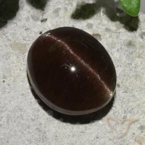 Scapolite occhio di gatto Marrone scuro naturale da 2.04 ct, Ovale, Traslucido