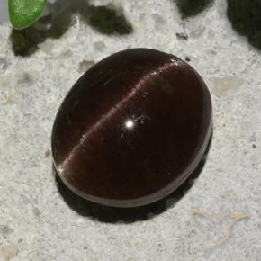Scapolite occhio di gatto Marrone scuro naturale da 2.04 ct, Ovale, Traslucido